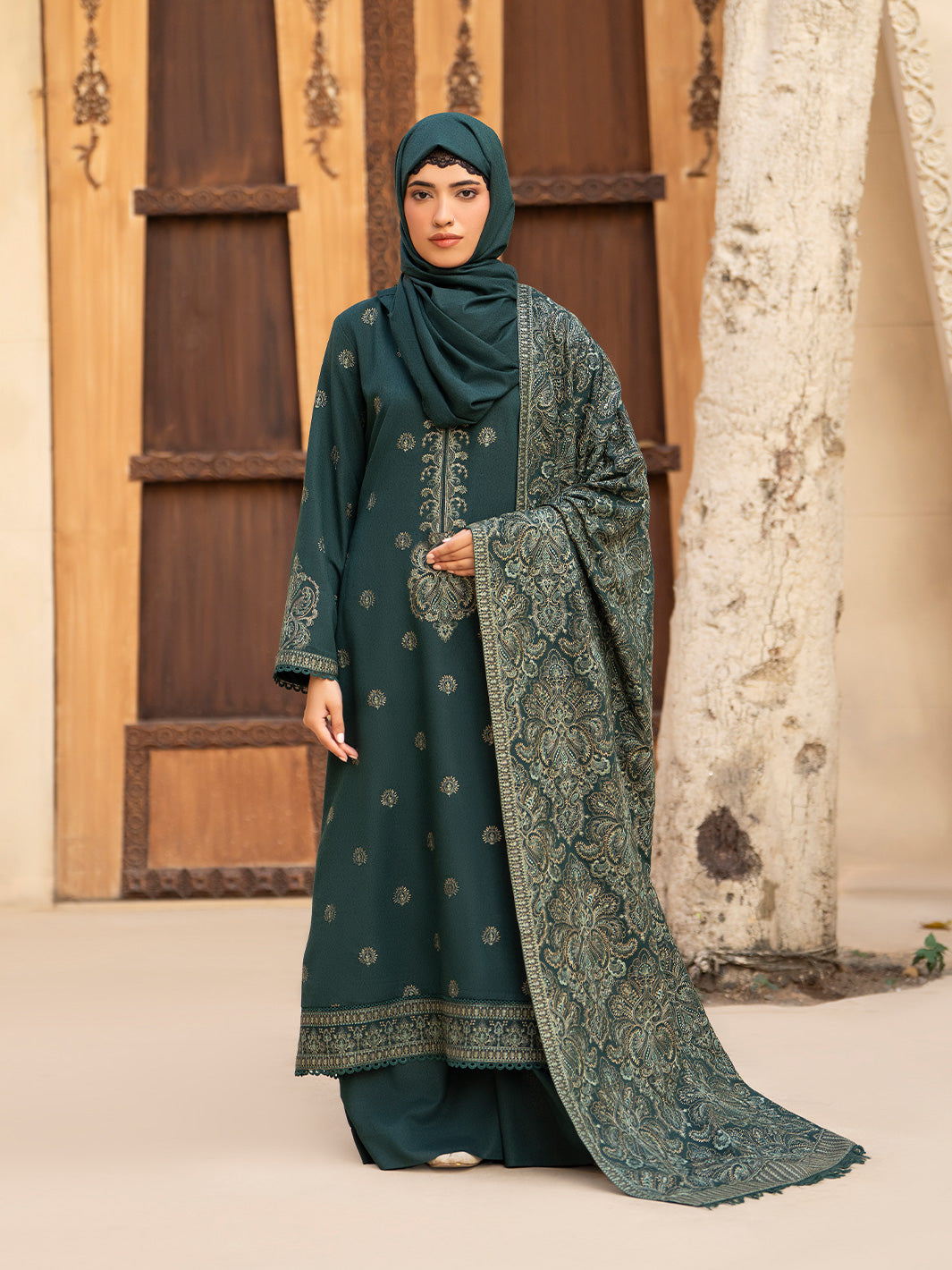 Embroidered Karandi'25