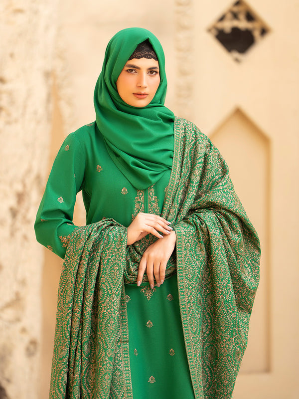 Embroidered Karandi'25