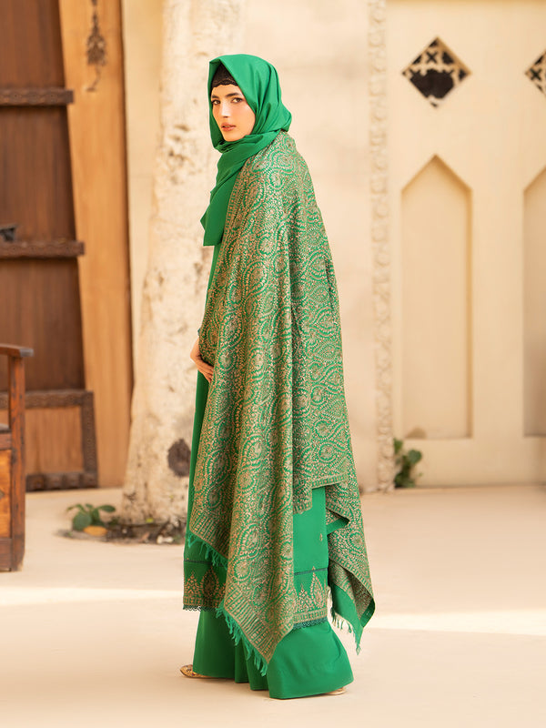 Embroidered Karandi'25